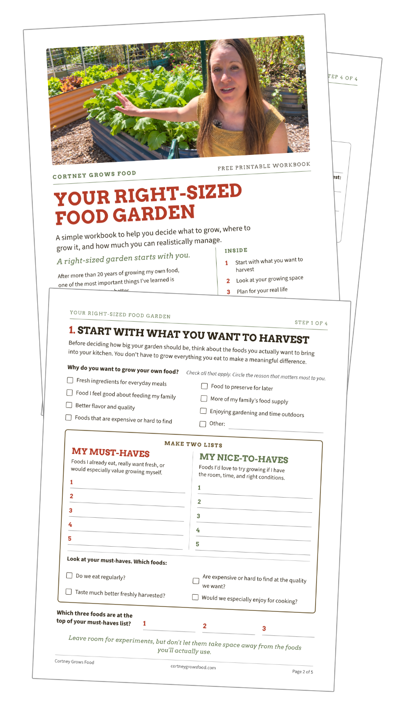 Fall & Winter Lettuce Guide image