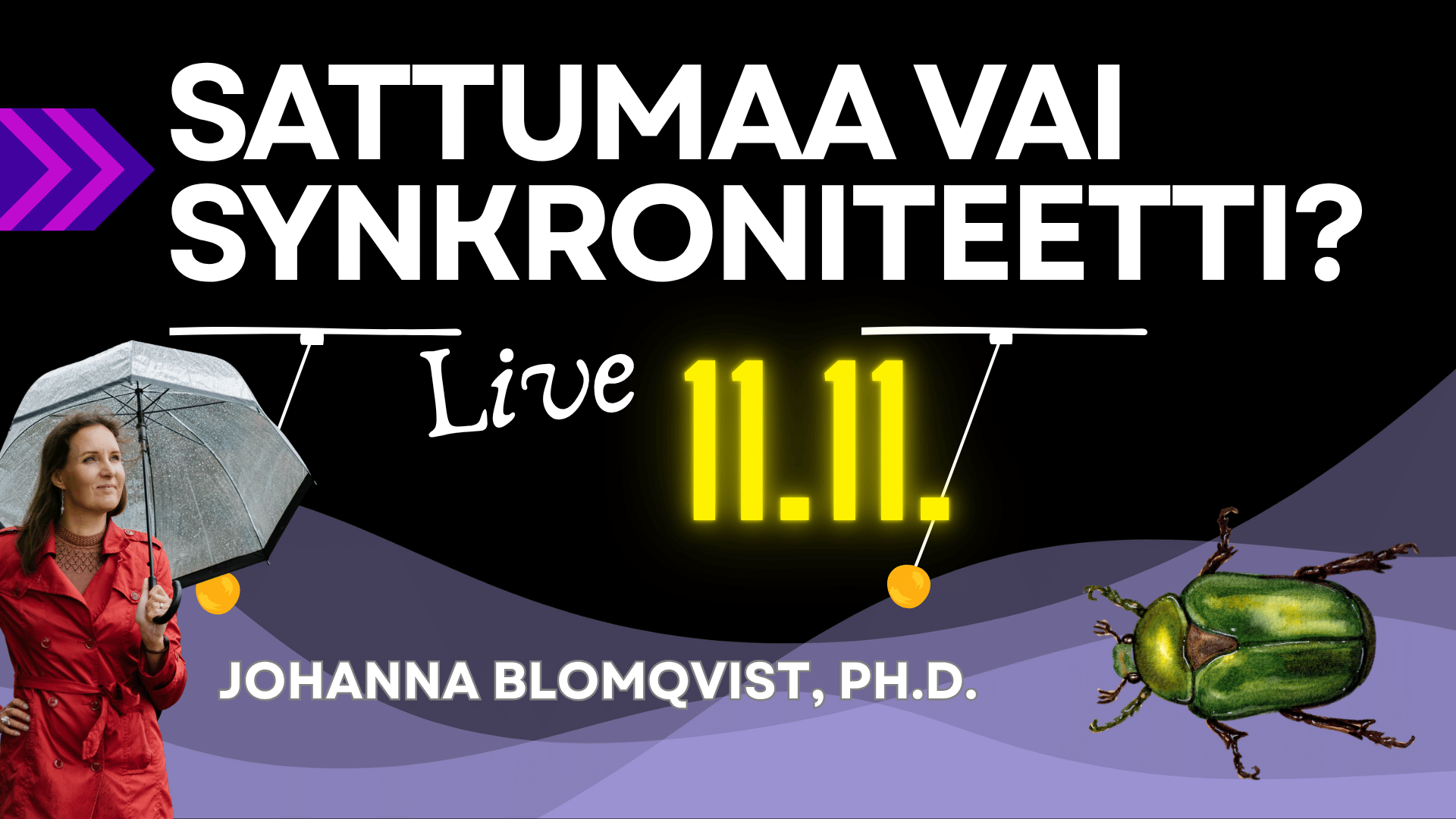 Synkroniteetti Live 11.11 – Johanna Blomqvist, Ph.D.