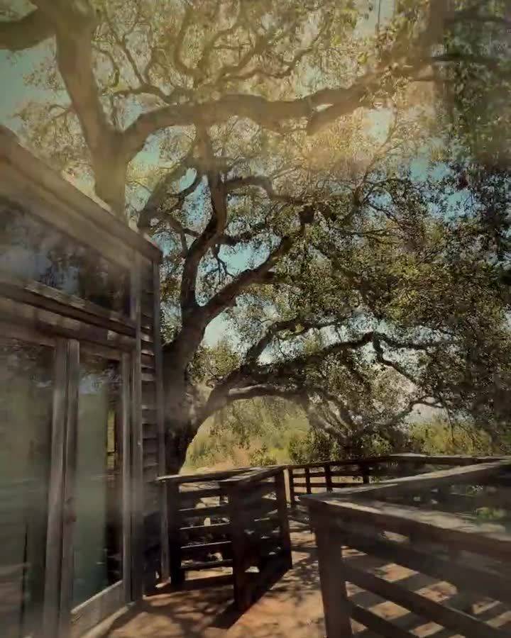 A cabin deck beneath the oaks at El Capitan Canyon