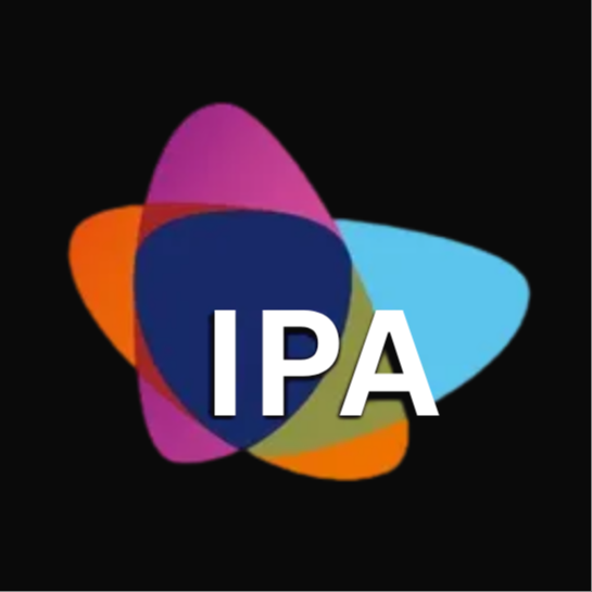 Institute of Public Accountants