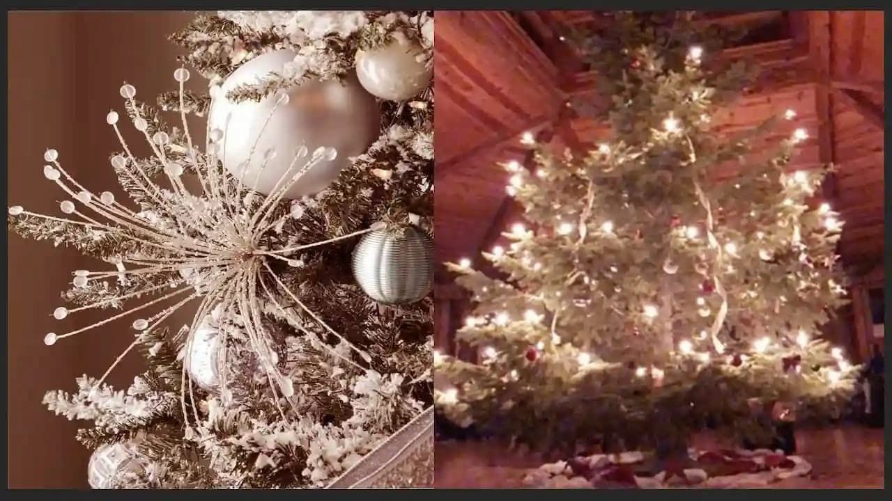 New Moon Ceremony at The StarHouse