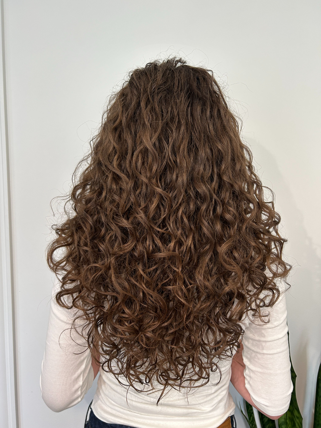 Miss G - Visit two - Haircut & Refresh- Back