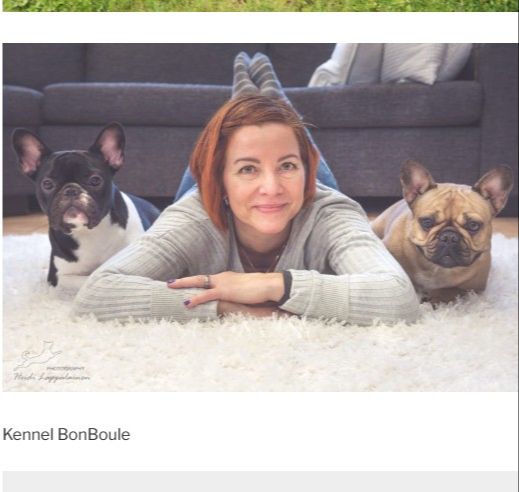 koiran ravitsemusneuvoja