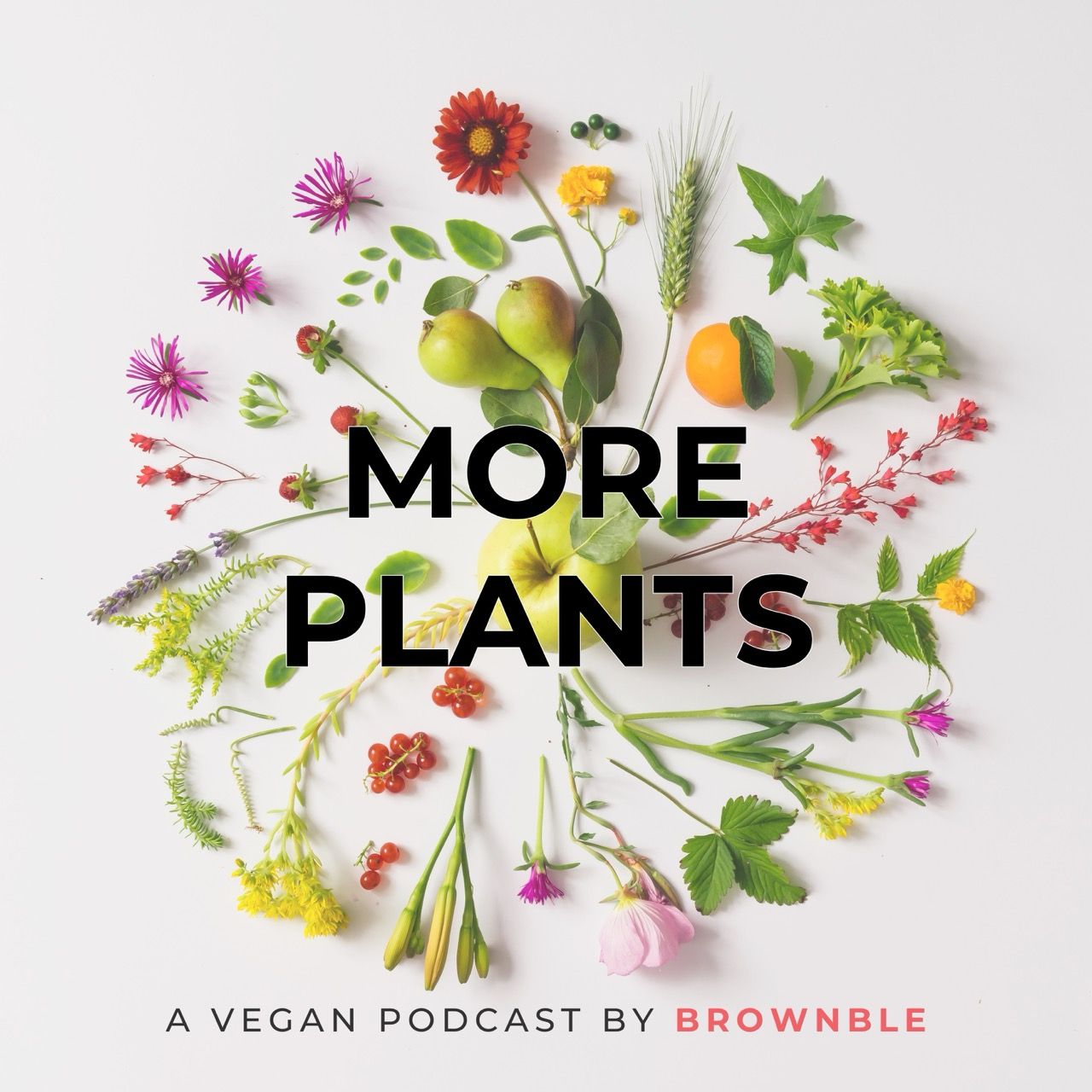 Our Vegan Podcast