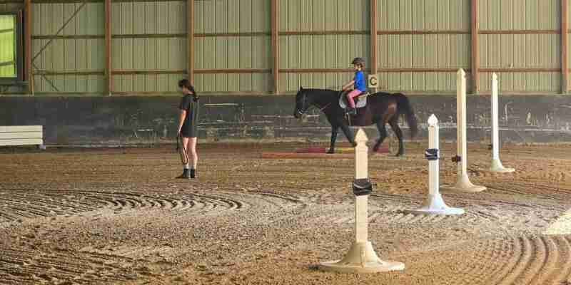 children grooming pony