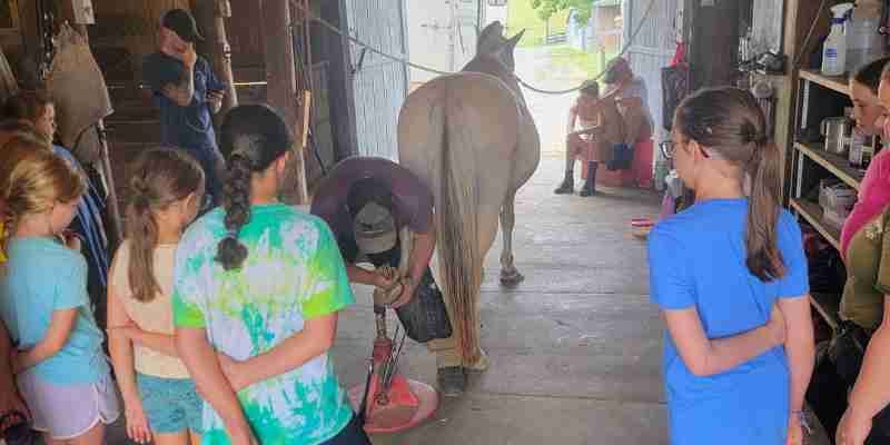 Counselors helping student mount