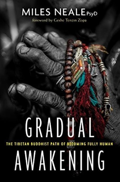 Gradual Awakening Book cover