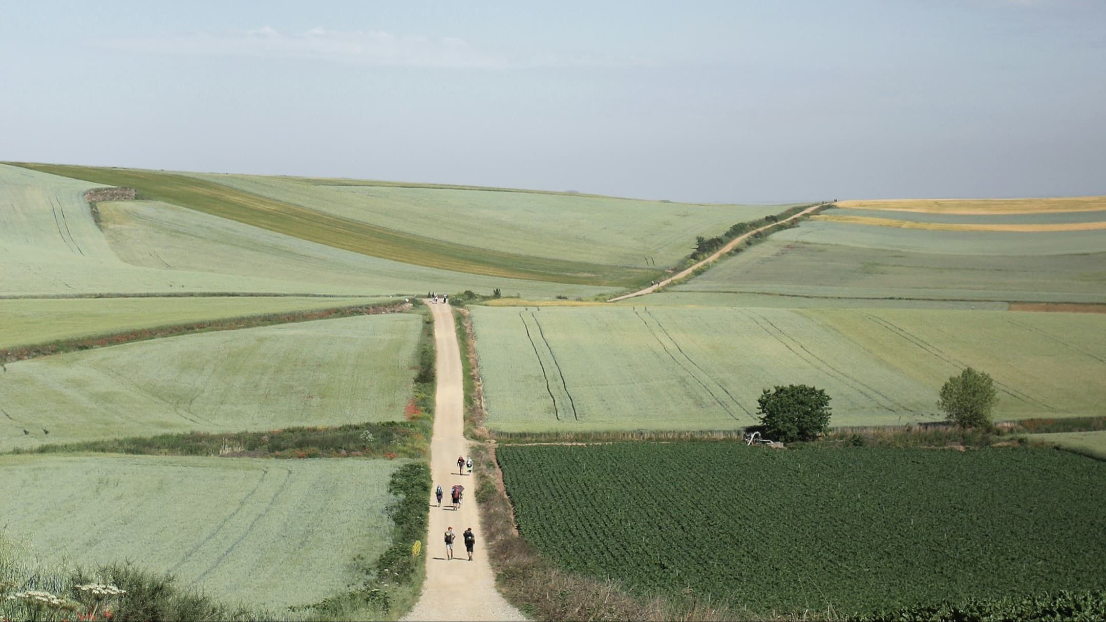 Pilgrims walking along the Camino de Santiago trail through rolling green fields in Spain.