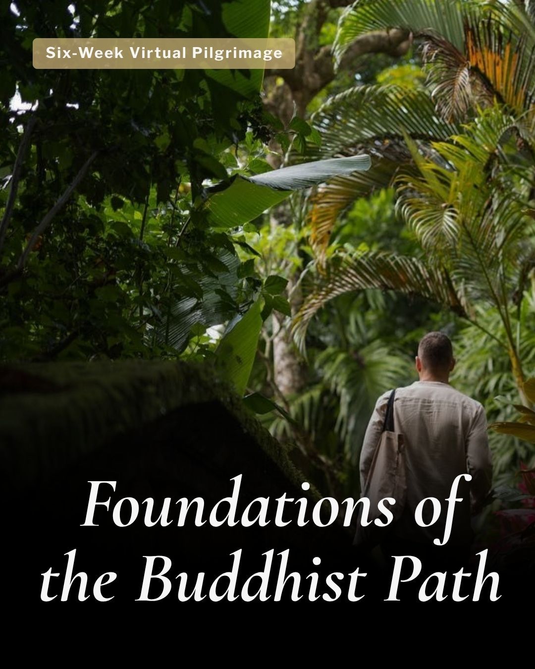 Foundations of The Buddhist Path