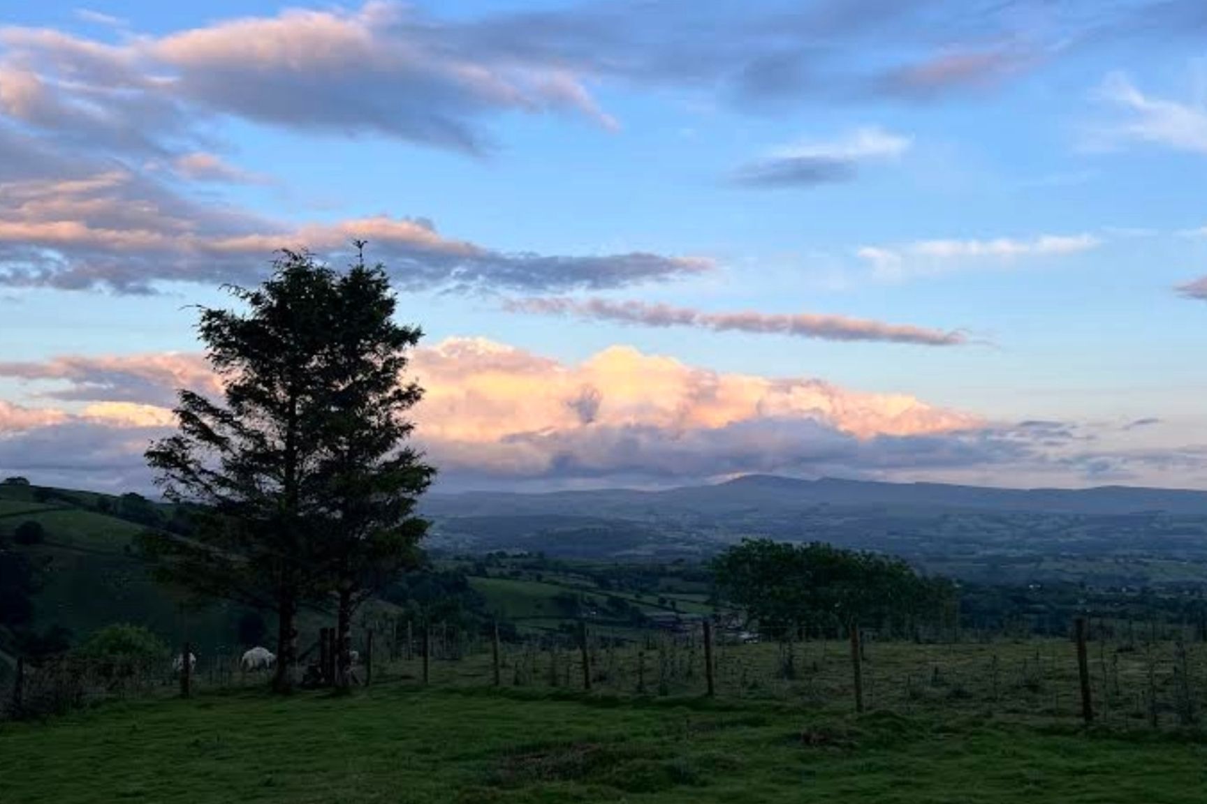 Yoga, Advaita and Tantra | Mandala Yoga Ashram, UK