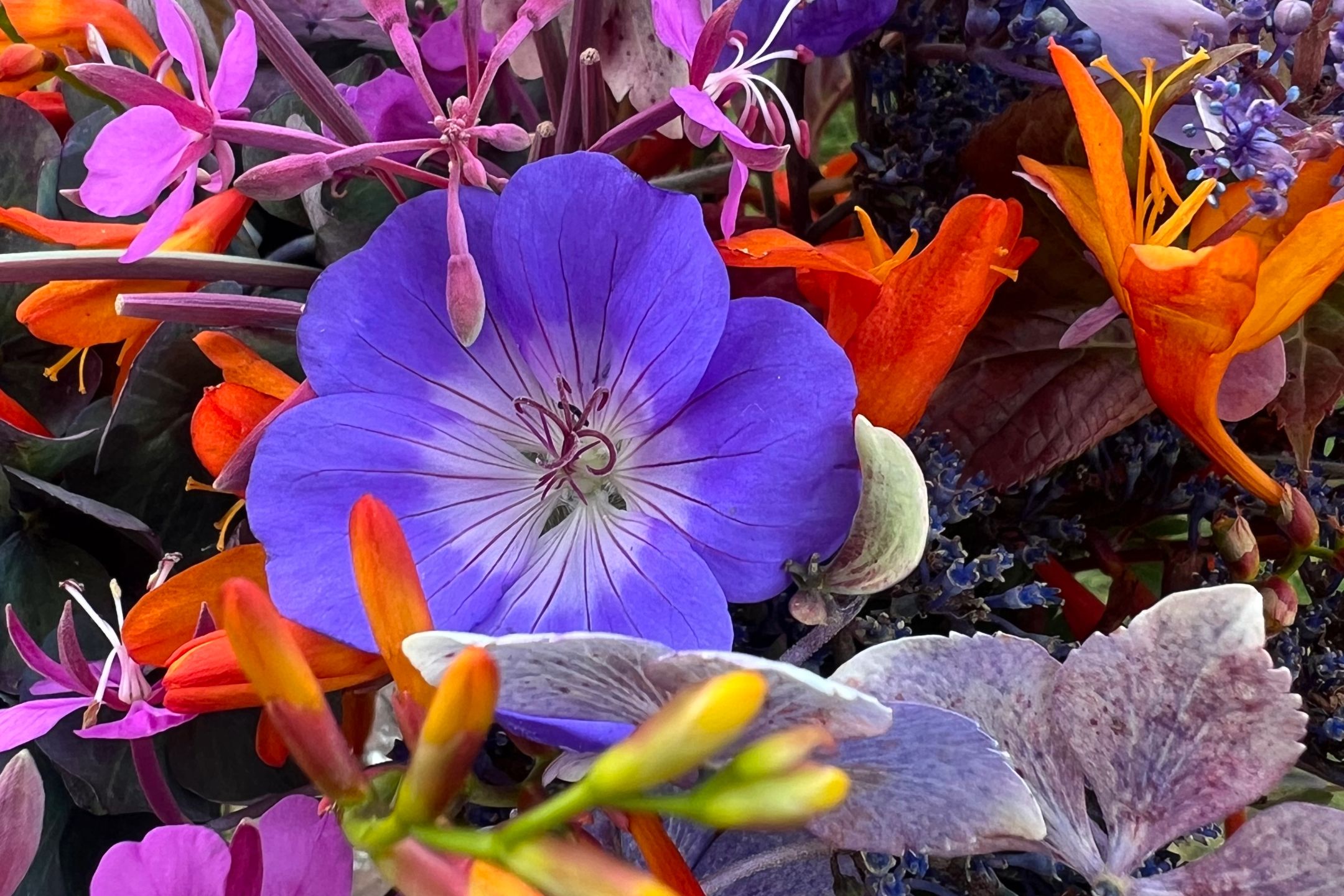 Yoga, Advaita and Tantra | Mandala Yoga Ashram, UK