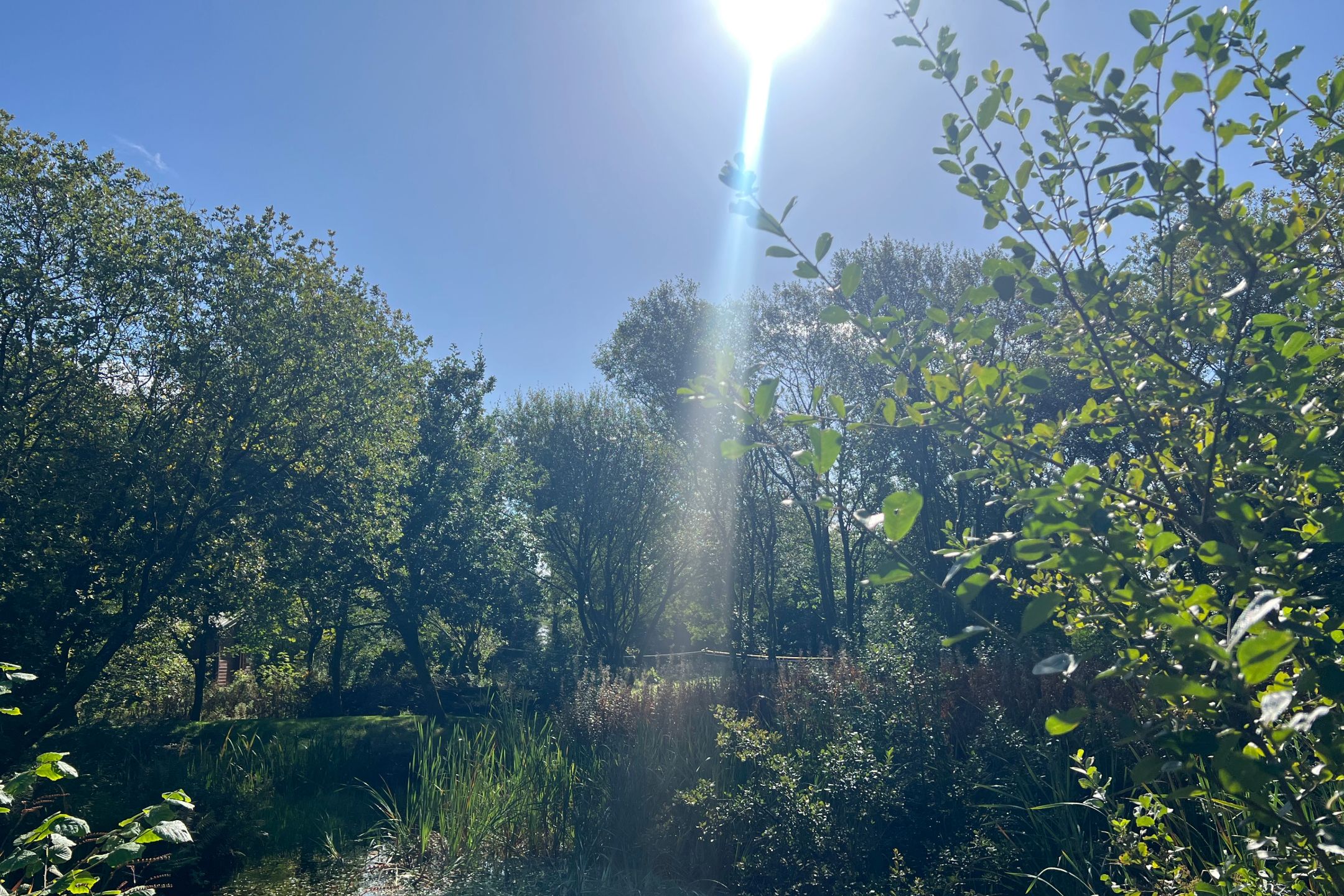 Yoga, Advaita and Tantra | Mandala Yoga Ashram, UK