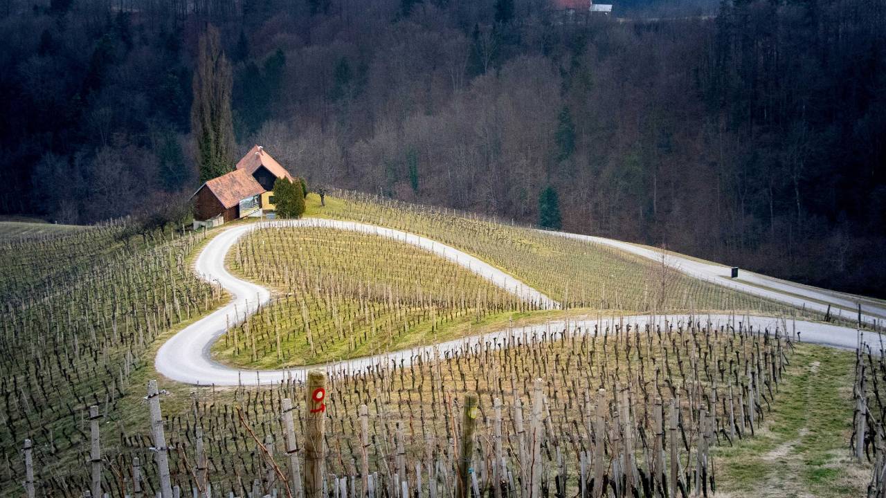 Mandala Yoga Ashram | Online Courses