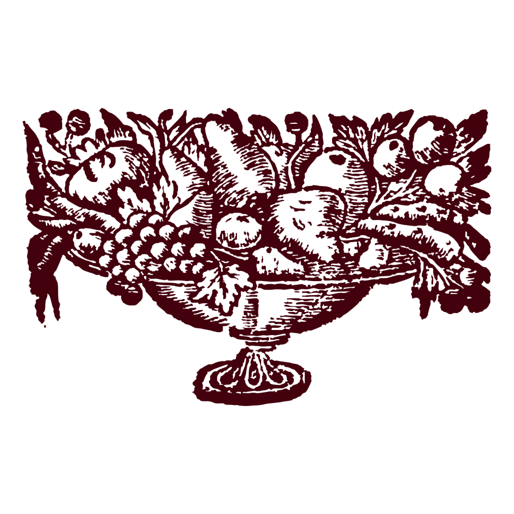Footer Logo