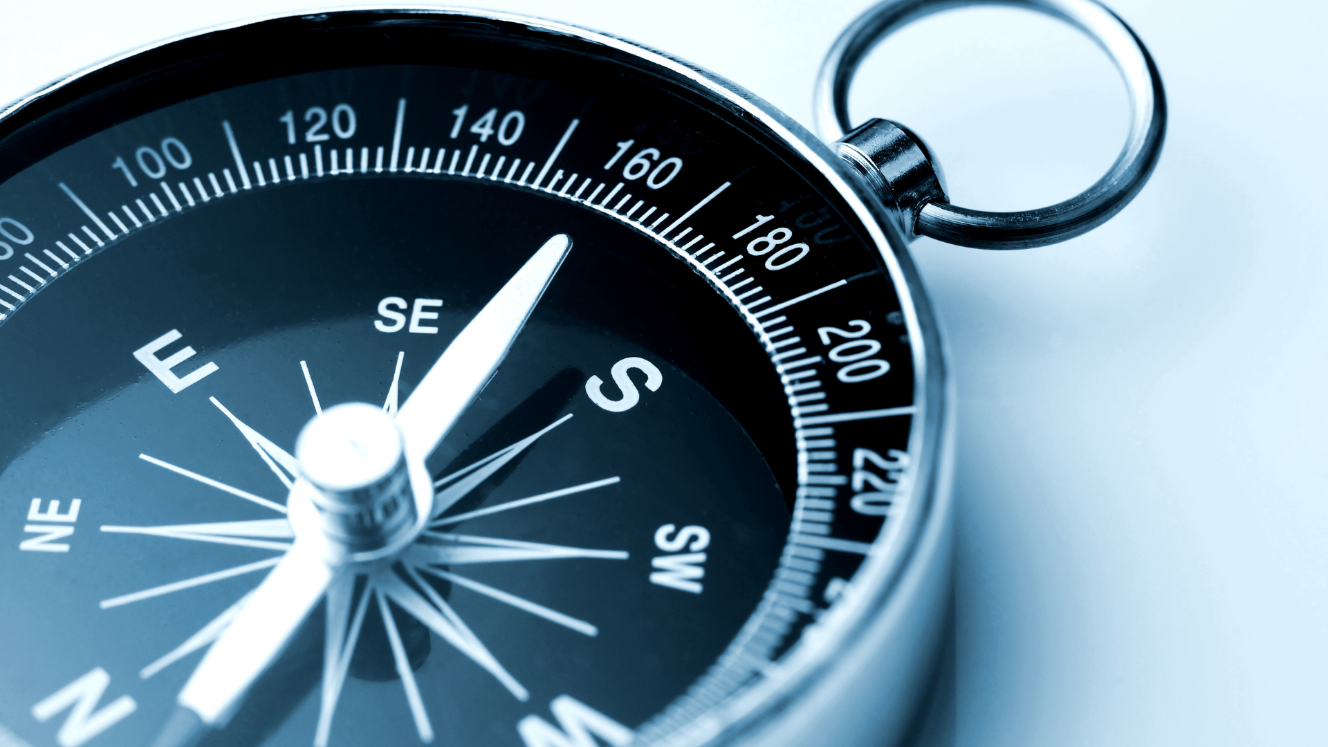 The Growth Partnership