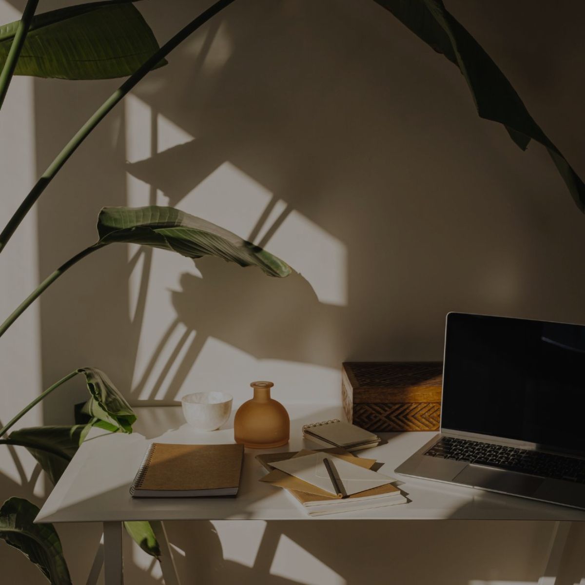 monthly business workshops