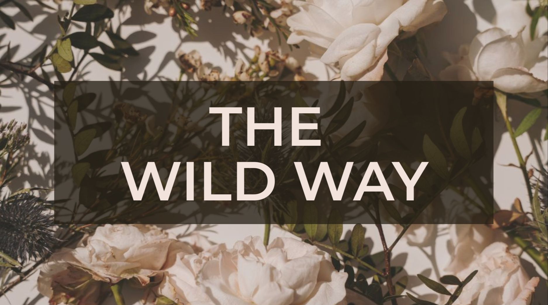 The Wild Way Membership Logo