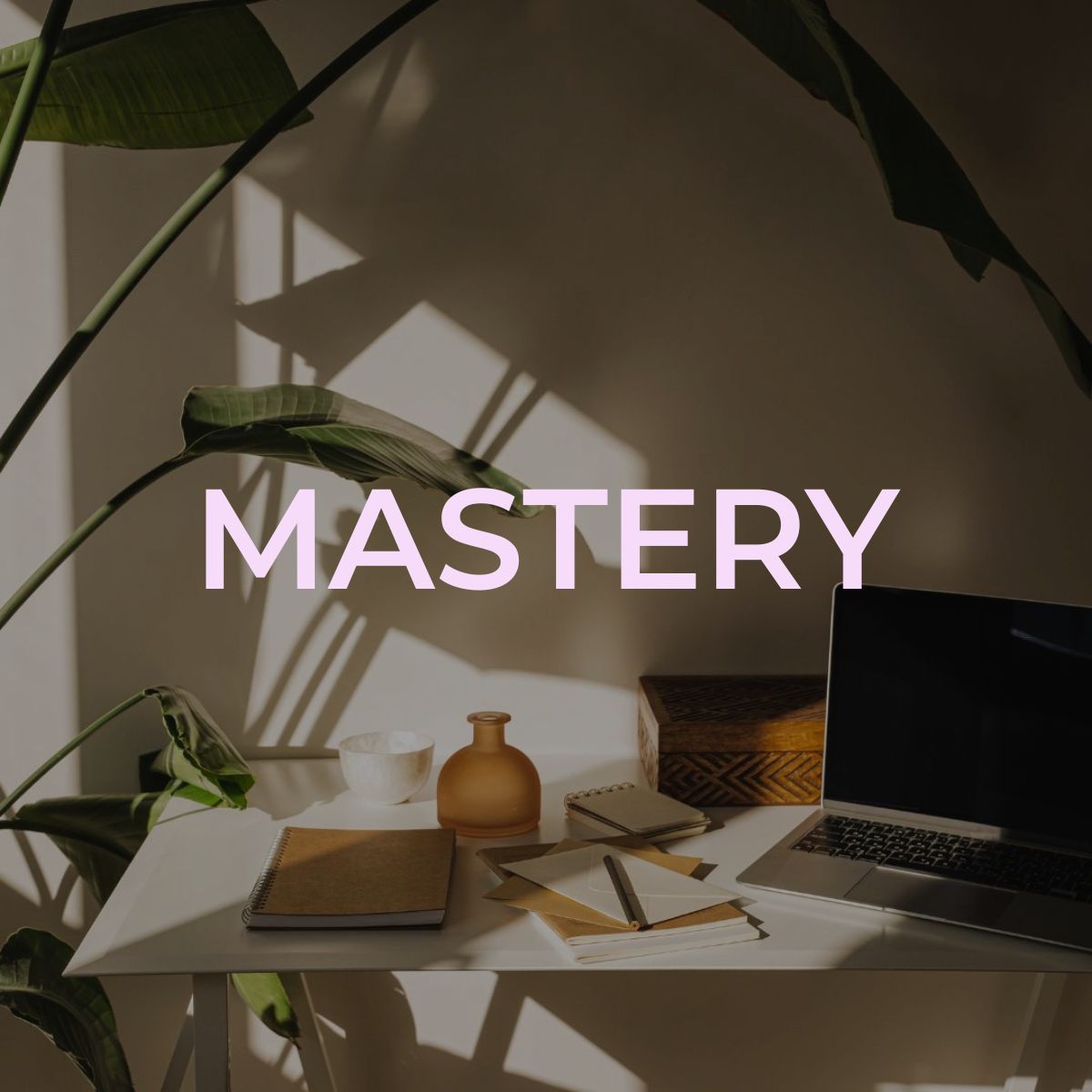 monthly business workshops