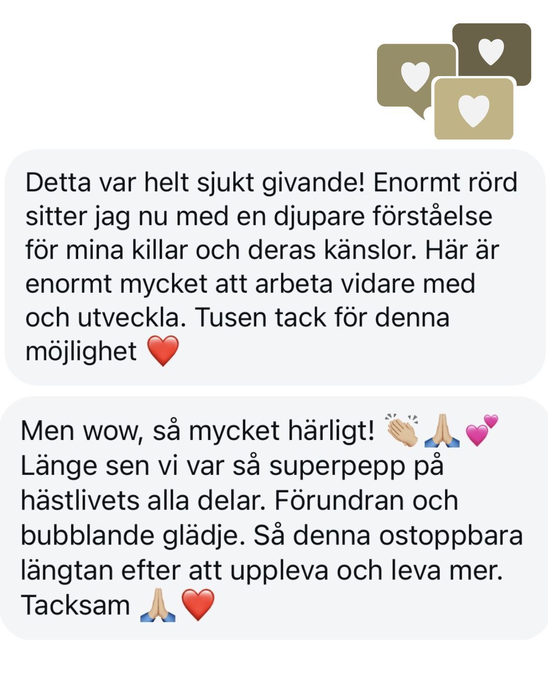 Recension: Förstår du Susanna, vad du hjälper oss att hitta på riktigt? Vilken skillnad det gör, alla kan göra något, vi kan alla gräva där vi står. Det går liksom inte att tänka att man inte skulle vara en del av Hästvisflocken hela livet. Så tack, tack, tack för allt du gre, lär, är!