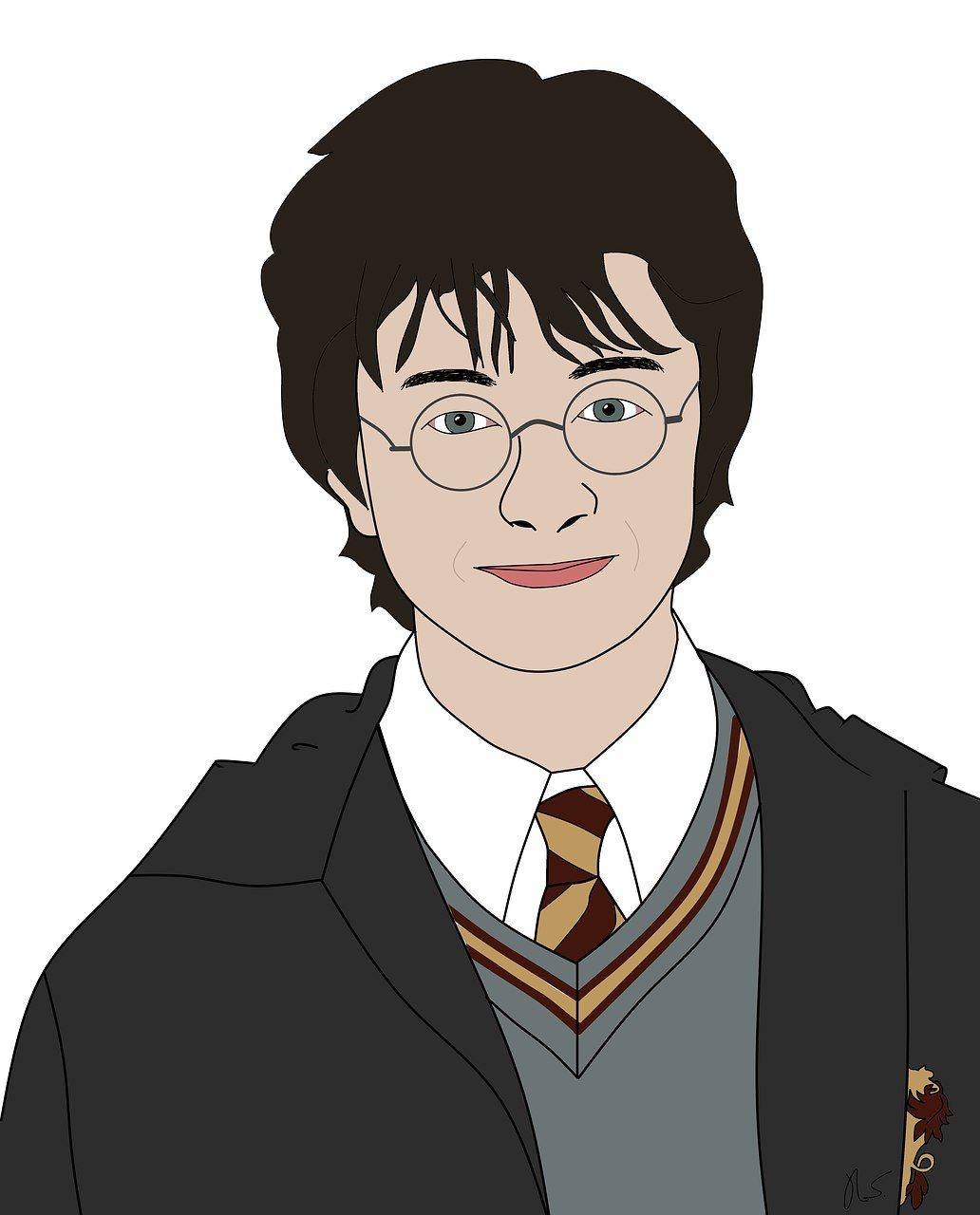 Harry potter by Ryan Stekken/pixabay