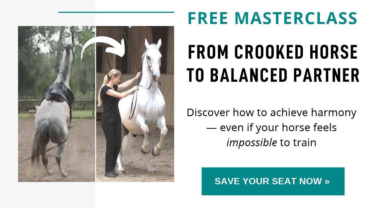 Straightness Training Masterclass
