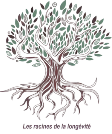 Racine Longévité