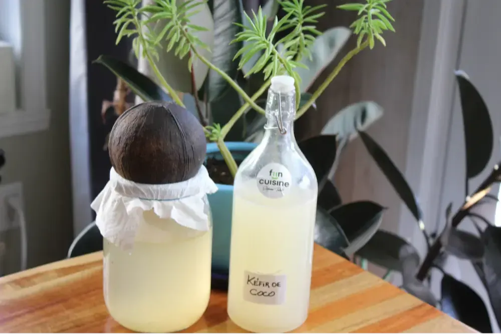 Kéfir d'eau