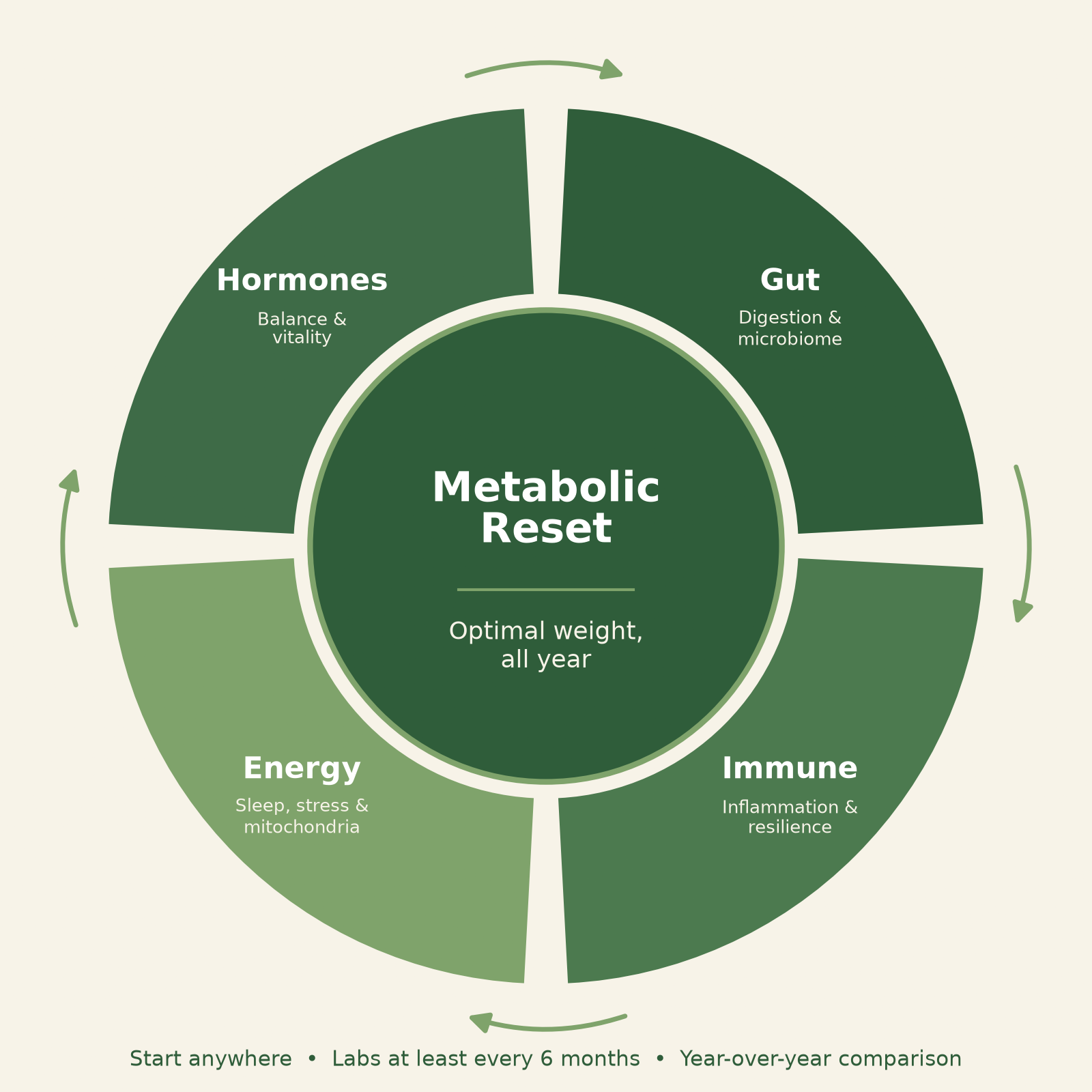Metabolic Reset at the center, all year for optimal weight, surrounded by a four-part cycle: Gut, Immune, Energy, Hormones. Start anywhere. Labs at least every 6 months.