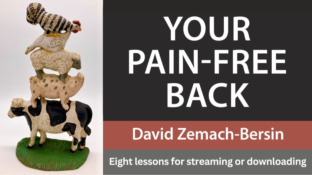 Feldenkrais access resources for learning