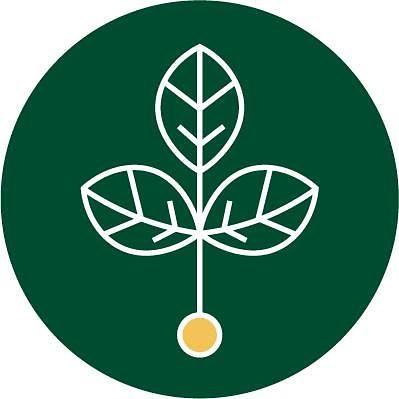 Header Logo