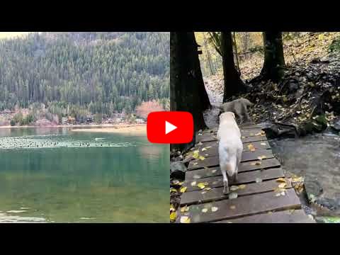 Mila & Maya Horizontal