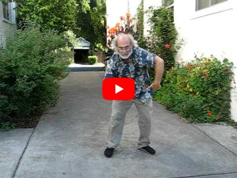 8 pieces brocade - Brian O'Dea QiGong