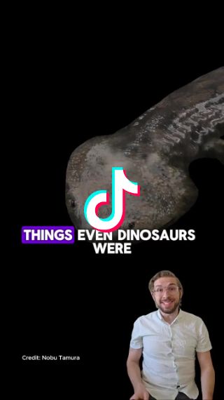 TikTok - Make Your Day