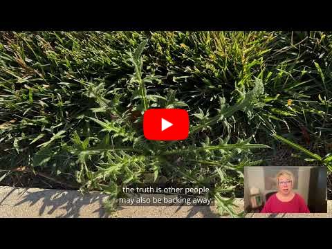 Are you letting small problems get prickly?