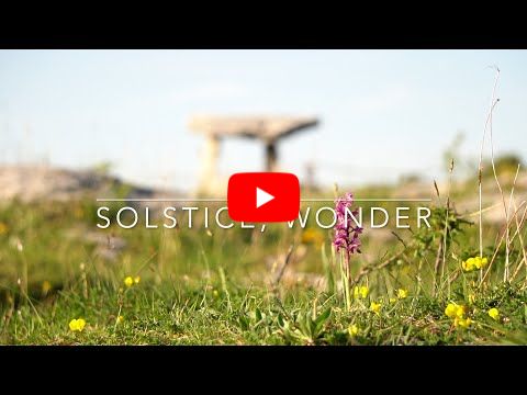 Solstice, Wonder