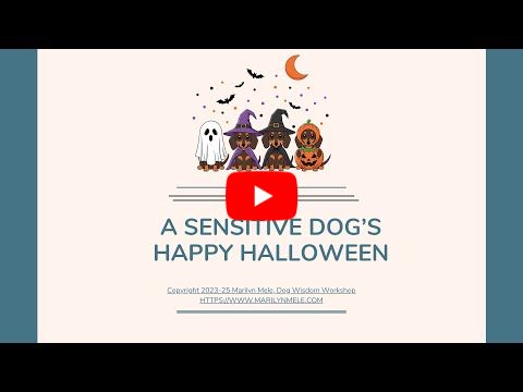 A Sensitive Dog's Happy Halloween