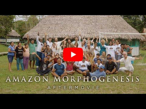 Behind the scenes at an Ayahuasca camp