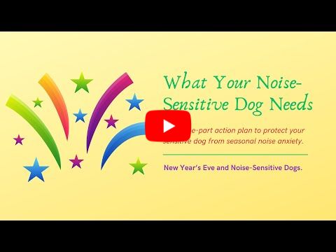 Noise Sensitive Dogs and New Year's Eve, Marilyn Mele