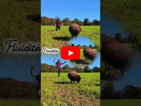 Accidents comme vecteurs d'acquisition de sagesse