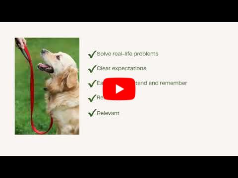 Why is it so hard to practice your dog's obedience lessons? Marilyn Mele