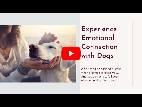 Emotional Connection with Dogs, Marilyn Mele