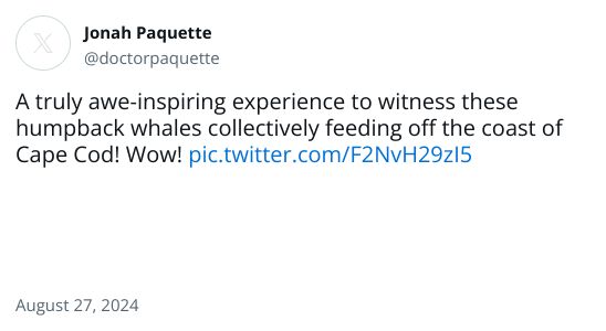 A truly awe-inspiring experience to witness these humpback whales collectively feeding off the coast of Cape Cod! Wow! pic.twitter.com/F2NvH29zI5