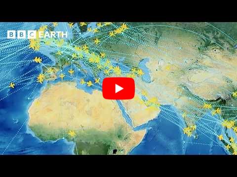From Takeoff To Landing: The Fascinating World Of Aviation | BBC Earth Science