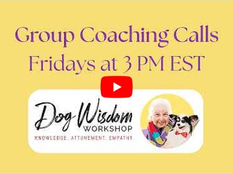 Group Coaching Calls on Friday afternoons