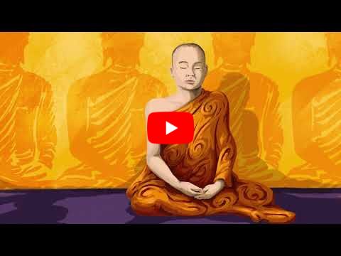 Power vs. Force (The 16 levels of Consciousness)
