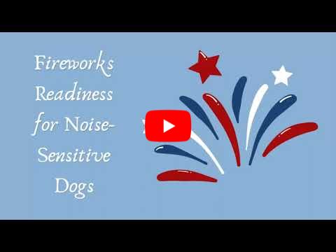 Fireworks Readiness for Noise-Sensitive Dogs