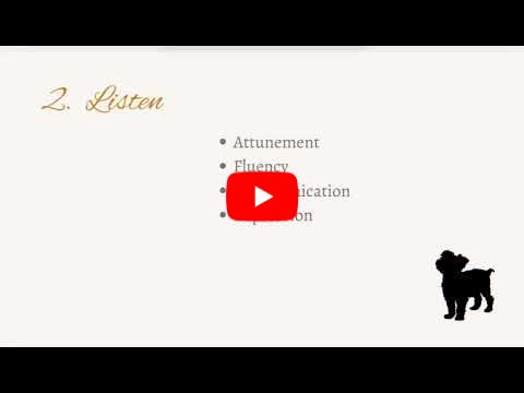 5 Steps to Soothe Sensitive Dogs Without Training Them