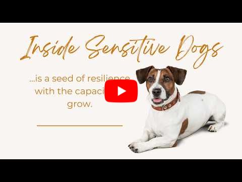 Helping Sensitive Dogs Self-regulate...What gets in your way? July 2026