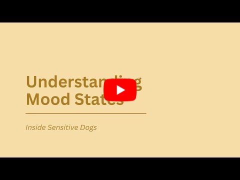 Understanding Mood States, March 2025