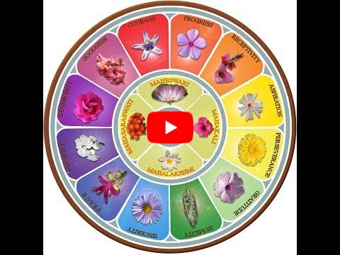 Light on The Mother's Symbol